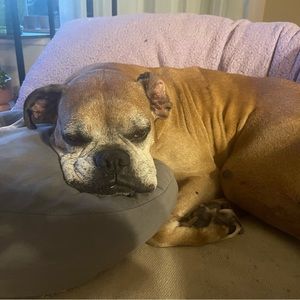 Meet your Posher, Courtney